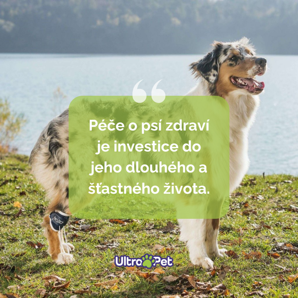 Ukázka 29